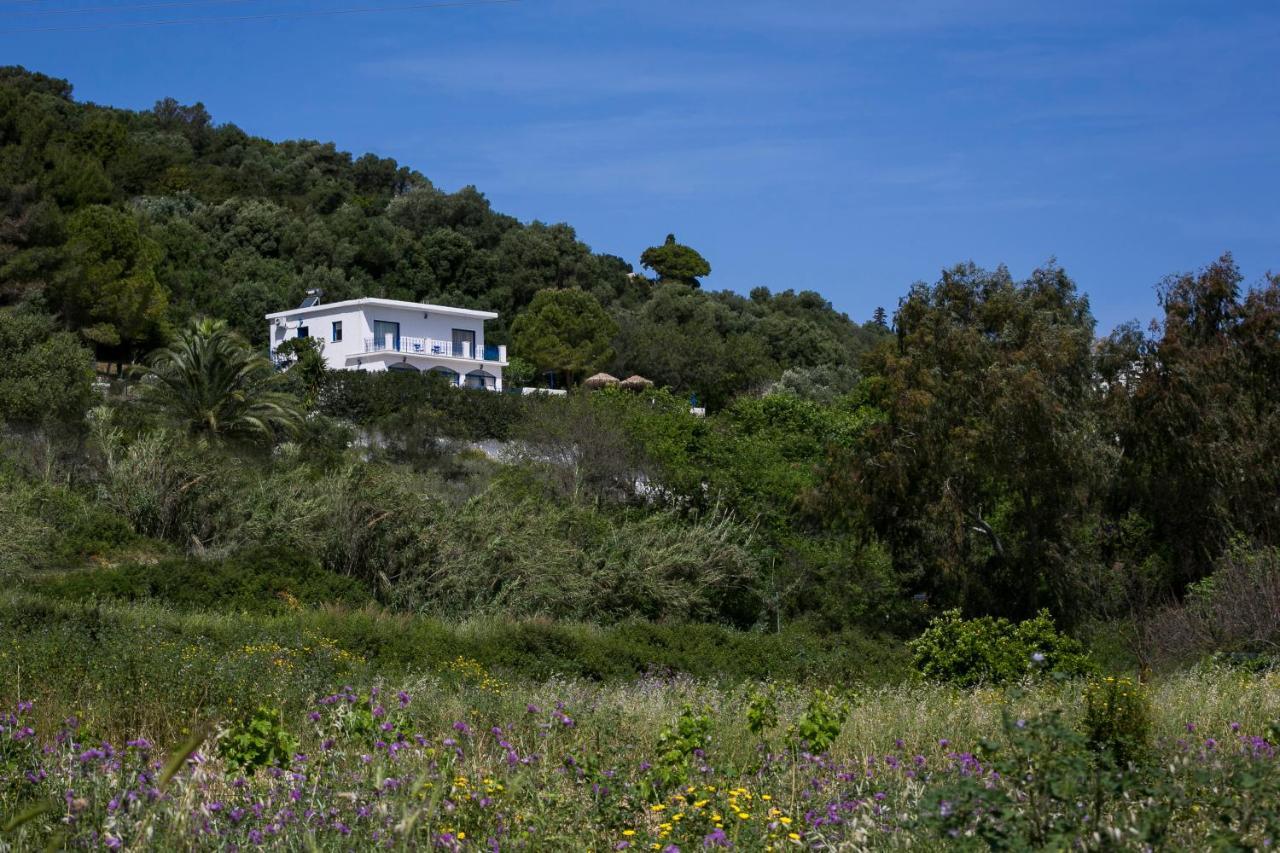 Villa Afrodite Μουσάτα Εξωτερικό φωτογραφία